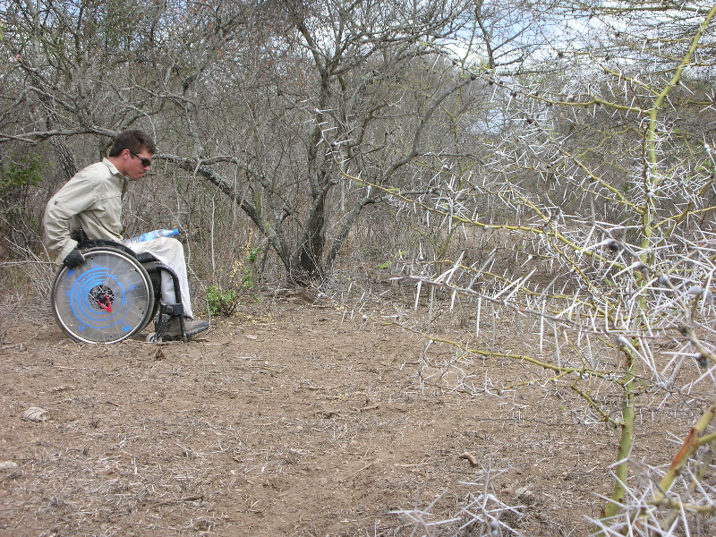 Chemin épineux en fauteuil roulant