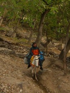paraplegique-mule-randonnée