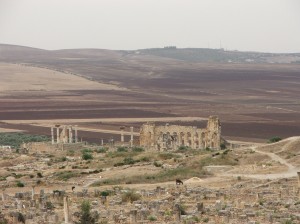 ruines-volubilis-maroc-handicap