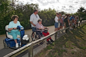 accessibilité-everglade-floride