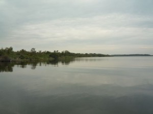 marecages-floride-everglades