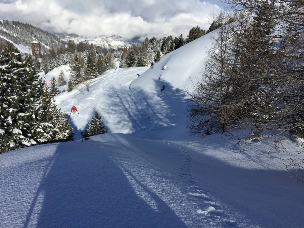 laplagne-freeride-handiski