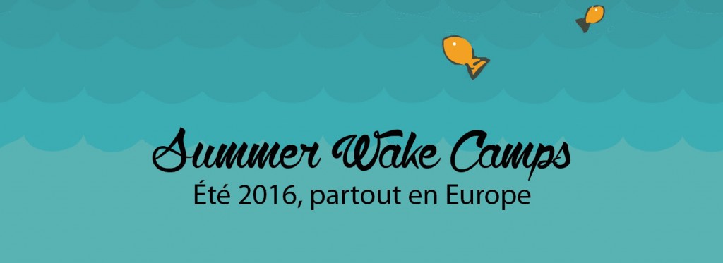 Bilan stages wake assis 2016